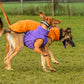 Hachico Jumper 02 - Sofadogwear | XS1