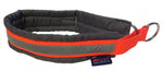 Halsband Grau-Orange Zero DC