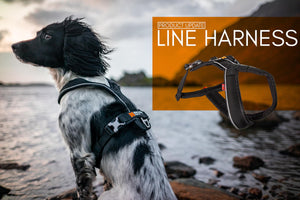 Line Harness 6