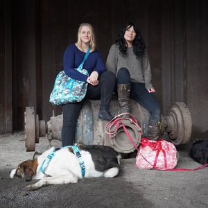 Skewbag (convertible dog walking leisure bag) - Annyx