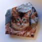 Maske Katze