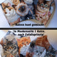 Masken Katzen