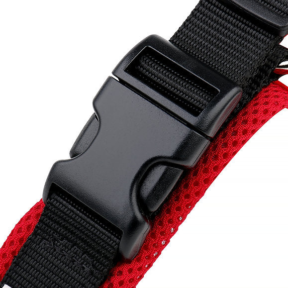 Mesh rot 6