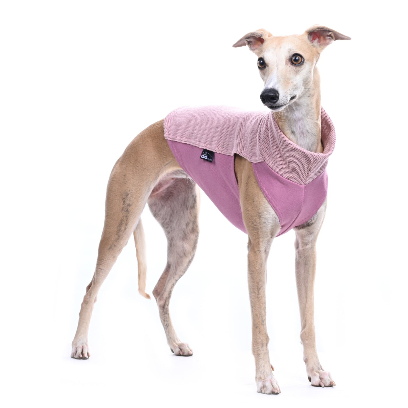 Pique Baumwoll Shirt / Top - DG Doggear