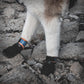 Protector Bootie 8