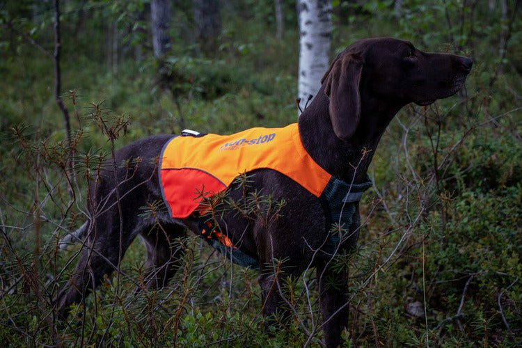 Protector Vest 3