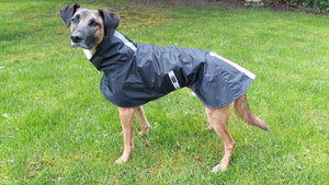 Michael RR-Rain - Sofadogwear