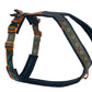 Rachel Pohl Edition Setangebote - Nonstop Dogwear