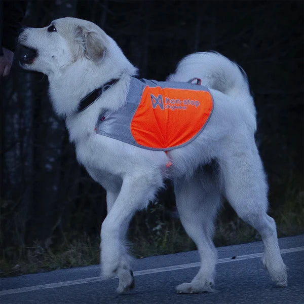 Reflective Vest 3 - Kopie