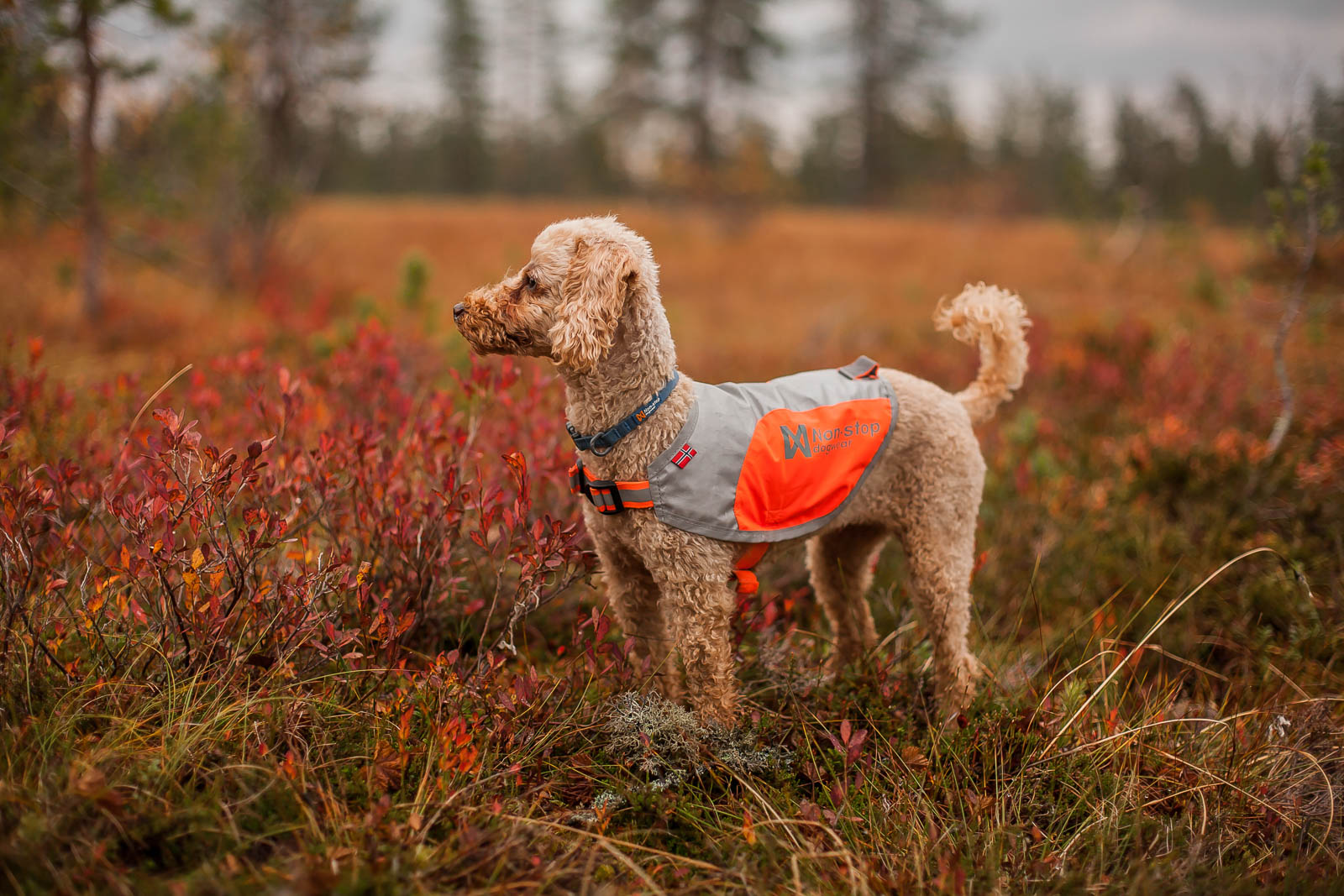 Reflective Vest 4