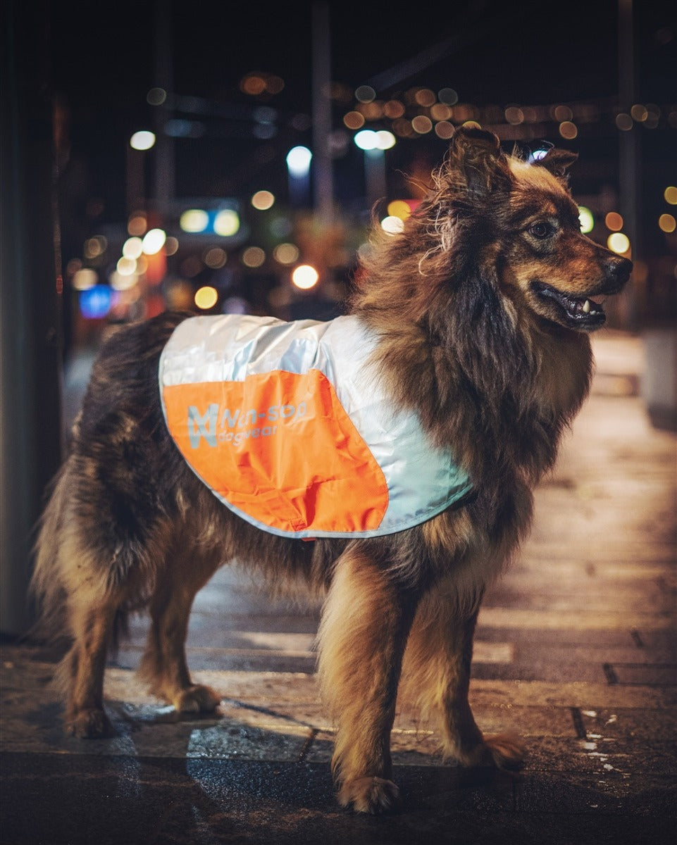 Reflective Vest 6