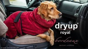 Dryup Cape Royal (ligne premium de peignoir pour chien) - Action factory