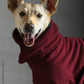 Dryup Cape Royal (dog bathrobe premium line) - Action factory