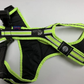 Trail harness / safety leading and pulling harness - Uwe Radant