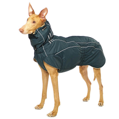 Zoran Sport - Sofadogwear