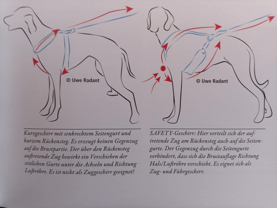 Zuggeschirr versus normales Geschirr