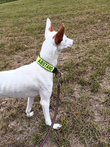 Laisse élastique de randonnée / ligne de traction de trekking - Nonstop Dogwear