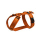 Fun Harness (Standard and Custom Colors) - Annyx | XXS-Long