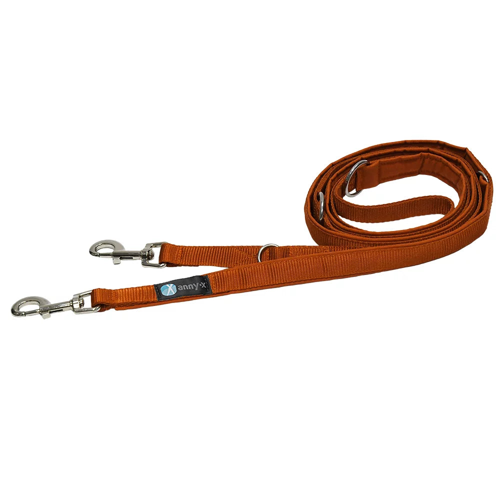 Laisse à mousqueton (couleurs standard) - Annyx