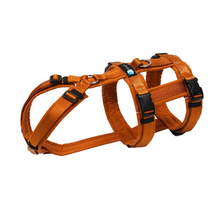 Safety harness "Safety" NORMAL sizes - Annyx