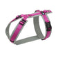 Harnais torse Fun (coloris standards et spéciaux) - Annyx