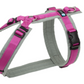 Chest harness Fun (standard and special colors) - Annyx
