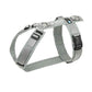 Chest harness Fun (standard and special colors) - Annyx