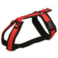 Chest harness Fun (standard and special colors) - Annyx
