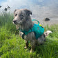 Schwimmweste "Protector Life Jacket" - Nonstop Dogwear