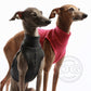 Baumwoll Shirt / Top - DG Doggear