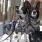 Bishaarah winter coat with membrane - Sofadogwear