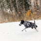 Bishaarah winter coat with membrane - Sofadogwear