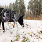 Bishaarah winter coat with membrane - Sofadogwear