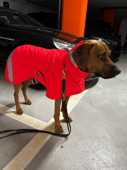 Bishaarah Wintermantel mit Membrane - Sofadogwear