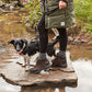 Wasserdichter Schuh "Boje" - Doggo