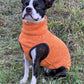 Hachico Jumper 02 - Sofadogwear | XS1
