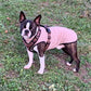 Hachico Jumper 02 - Sofadogwear | XS1