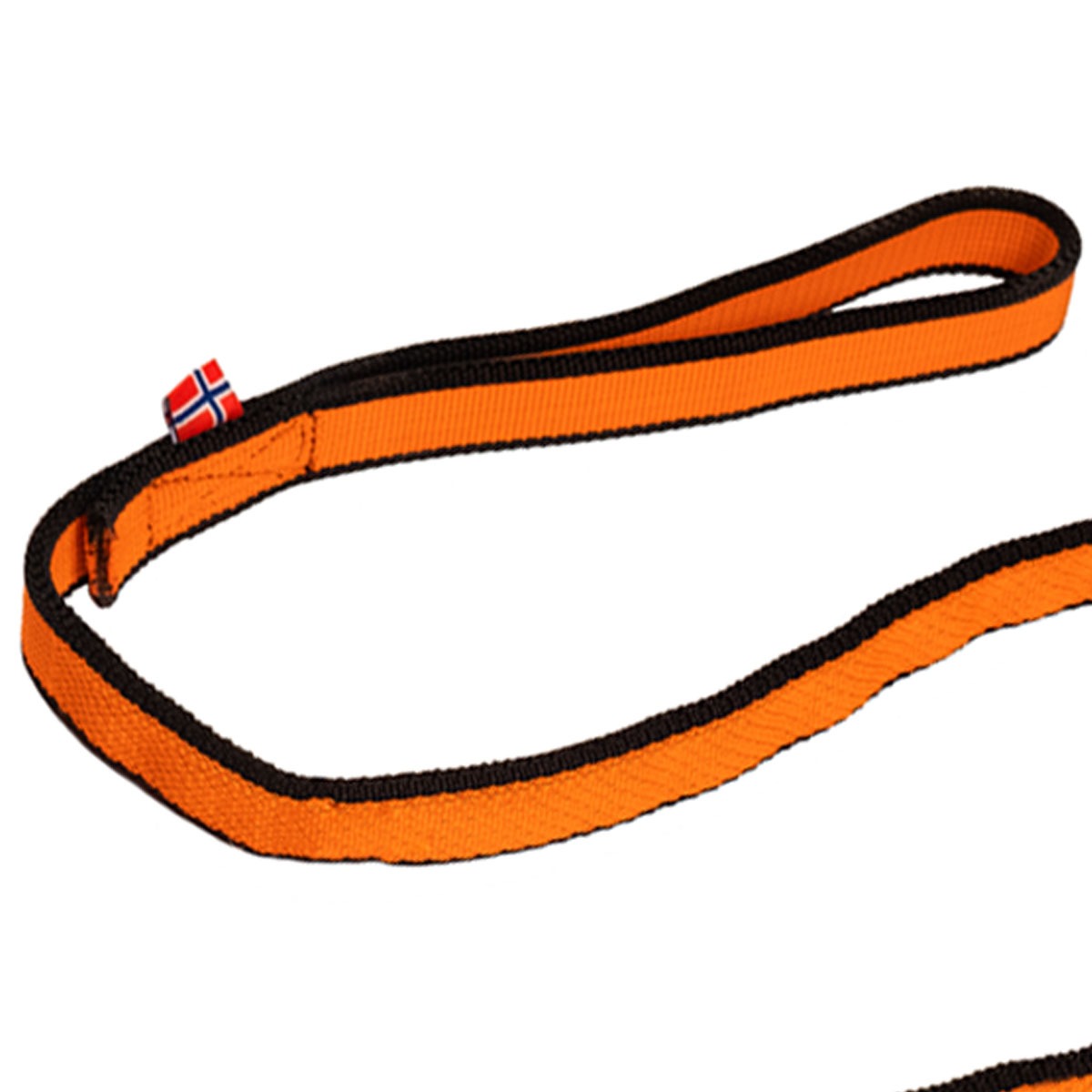 bungee leash nonstop 1