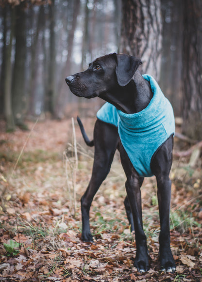 Hachico Citypunk (extra chaud) - Sofadogwear