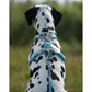 Line Harness 5.0 (Standard + Rachel Pohl) - Nonstop Dogwear