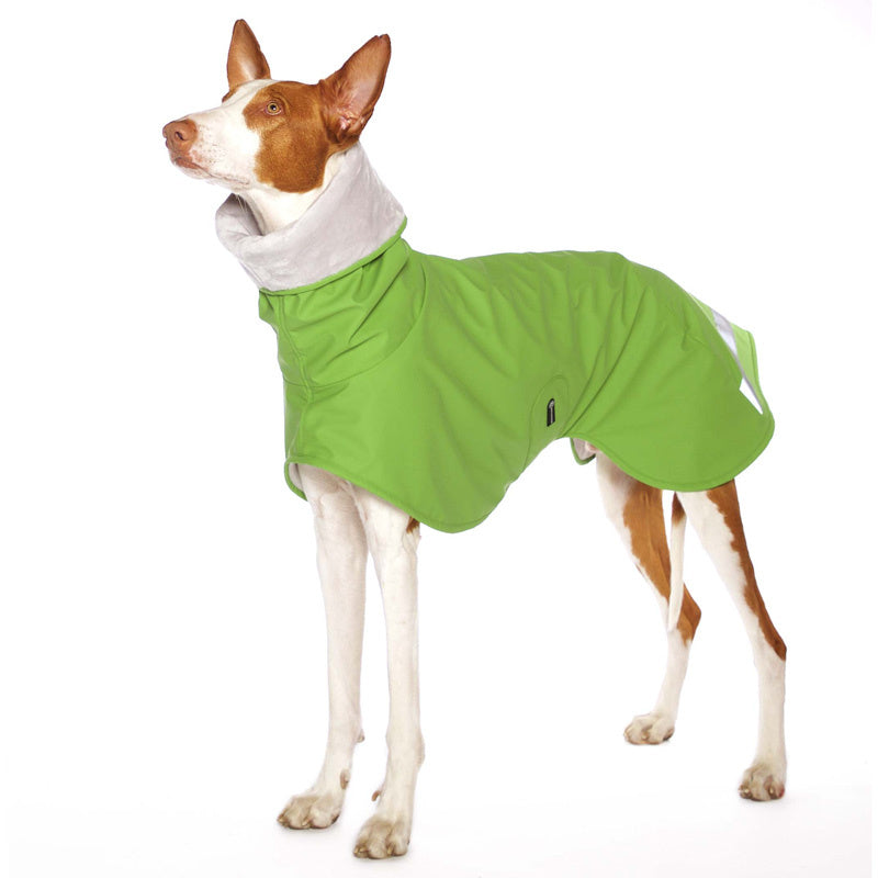 Michael Coolrain 03/04 - Sofadogwear