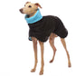 Michael Coolrain 03 - Sofadogwear