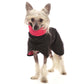Michael Coolrain 03 - Sofadogwear