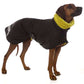 Michael Coolrain 03/04 - Sofadogwear
