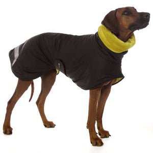 Michael Coolrain 03 - Sofadogwear
