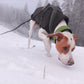 Soft-Pull Stop Collar Various Colors (5cm + 6cm wide) - Sofadogwear / Tierpfoten