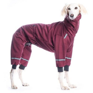 Gilet extensible LC Coursing (court) - Sofadogwear