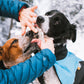 Paw ointment / paw cream - Non-Stop Dogwear