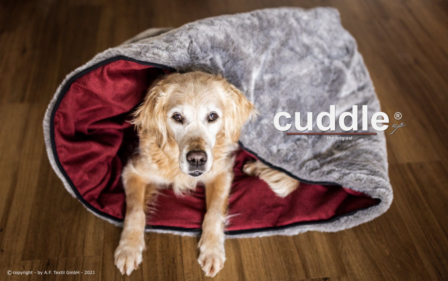 cuddle up 5