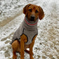 Kevin Jumper Vol.2 - Sofadogwear | S2/S3